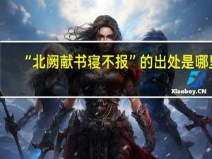 “北阙献书寝不报”的出处是哪里