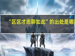 “区区才志聊如此”的出处是哪里