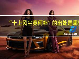 “十上风尘竟何补”的出处是哪里