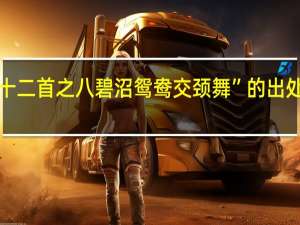 “十二首之八碧沼鸳鸯交颈舞”的出处是哪里