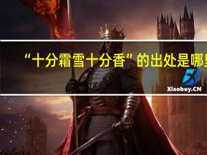 “十分霜雪十分香”的出处是哪里