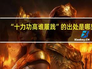 “十力功高谁履践”的出处是哪里