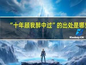 “十年顾我醉中过”的出处是哪里