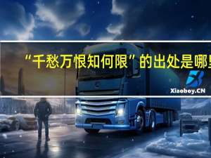 “千愁万恨知何限”的出处是哪里