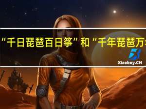“千日琵琶百日筝”和“千年琵琶万年筝”，哪个说法更合理
