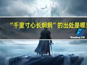 “千里寸心长炯炯”的出处是哪里