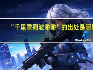 “千里雪翻波渺渺”的出处是哪里