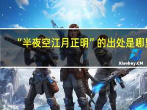 “半夜空江月正明”的出处是哪里