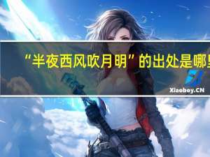 “半夜西风吹月明”的出处是哪里