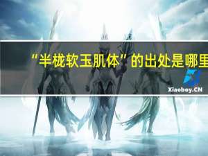 “半栊软玉肌体”的出处是哪里