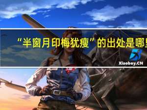 “半窗月印梅犹瘦”的出处是哪里