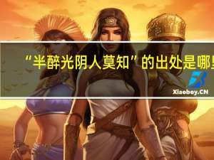 “半醉光阴人莫知”的出处是哪里