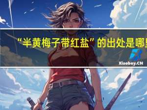 “半黄梅子带红盐”的出处是哪里