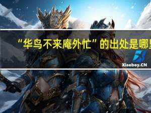 “华鸟不来庵外忙”的出处是哪里