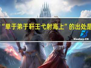 “单于弟于靬王弋射海上”的出处是哪里