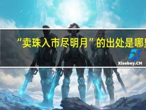 “卖珠入市尽明月”的出处是哪里