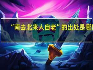 “南去北来人自老”的出处是哪里