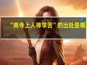 “南寺上人禅学苦”的出处是哪里