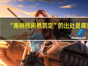 “南树枝闲栖鹊定”的出处是哪里