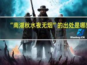 “南湖秋水夜无烟”的出处是哪里