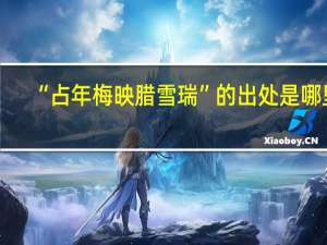 “占年梅映腊雪瑞”的出处是哪里