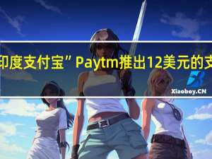 “印度支付宝”Paytm推出12美元的支付音箱