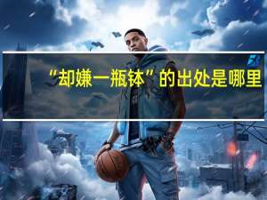 “却嫌一瓶钵”的出处是哪里