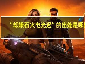 “却嫌石火电光迟”的出处是哪里