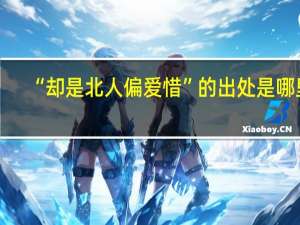 “却是北人偏爱惜”的出处是哪里