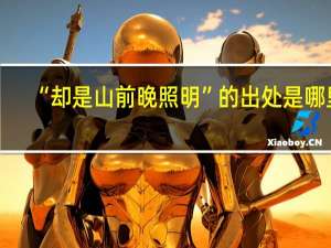 “却是山前晚照明”的出处是哪里