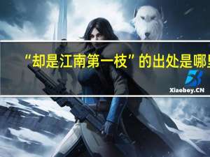 “却是江南第一枝”的出处是哪里