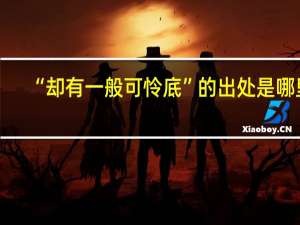 “却有一般可怜底”的出处是哪里