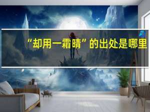 “却用一霜晴”的出处是哪里