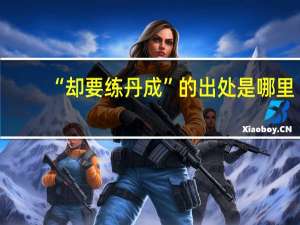 “却要练丹成”的出处是哪里