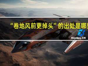 “卷地风前更掉头”的出处是哪里
