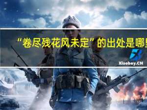 “卷尽残花风未定”的出处是哪里