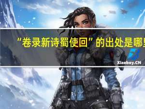 “卷录新诗蜀使回”的出处是哪里