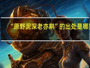 “原野泥深老亦耕”的出处是哪里