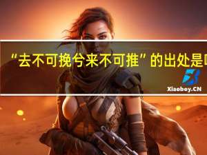 “去不可挽兮来不可推”的出处是哪里