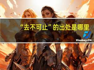 “去不可止”的出处是哪里