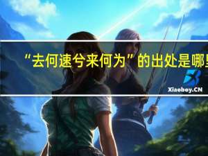“去何速兮来何为”的出处是哪里