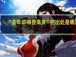“去年却得登高友”的出处是哪里