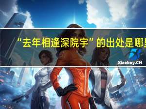 “去年相逢深院宇”的出处是哪里