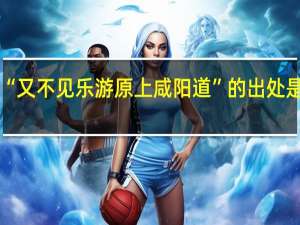 “又不见乐游原上咸阳道”的出处是哪里