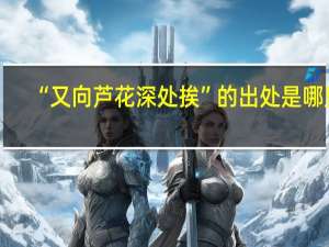 “又向芦花深处挨”的出处是哪里