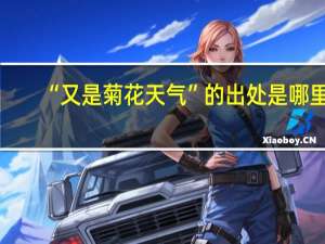 “又是菊花天气”的出处是哪里