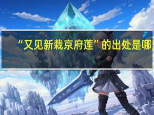 “又见新栽京府莲”的出处是哪里