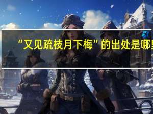 “又见疏枝月下梅”的出处是哪里