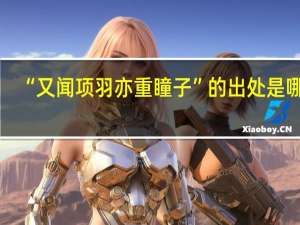 “又闻项羽亦重瞳子”的出处是哪里