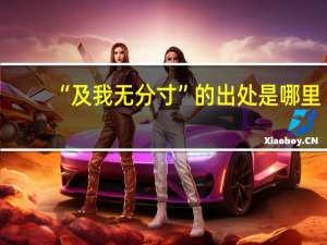 “及我无分寸”的出处是哪里